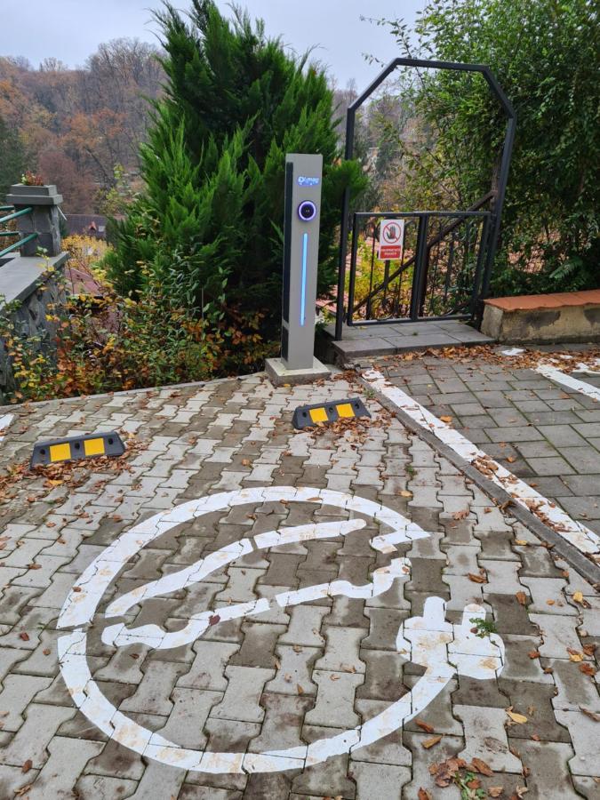 Vila Silvia Sovata Εξωτερικό φωτογραφία