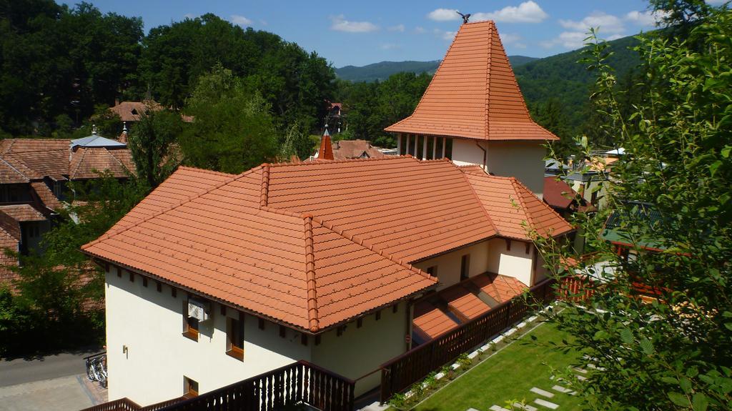 Vila Silvia Sovata Εξωτερικό φωτογραφία