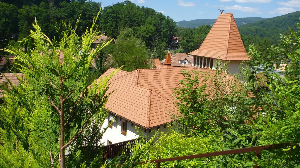 Vila Silvia Sovata Εξωτερικό φωτογραφία