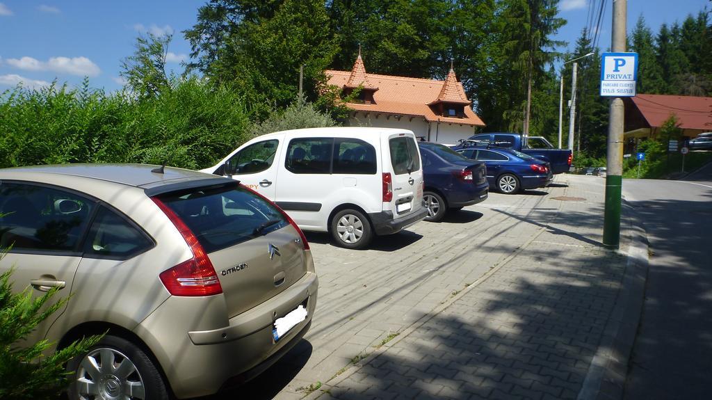 Vila Silvia Sovata Εξωτερικό φωτογραφία