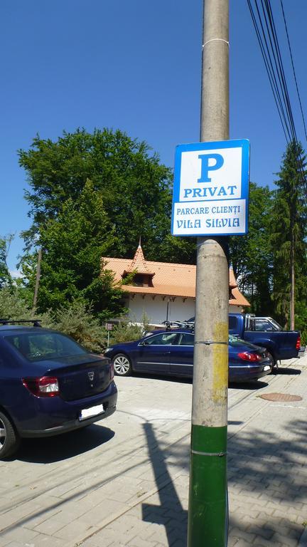 Vila Silvia Sovata Εξωτερικό φωτογραφία